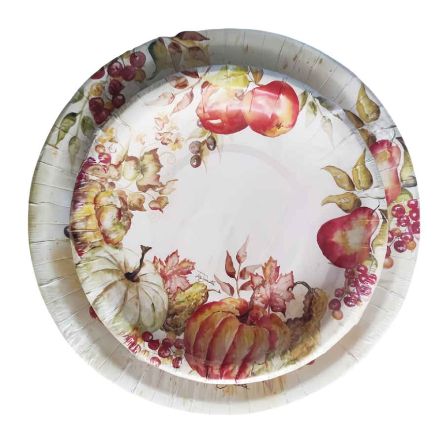 Eco-Friendly 8 & 10 Inch Disposable Paper Plate Sets