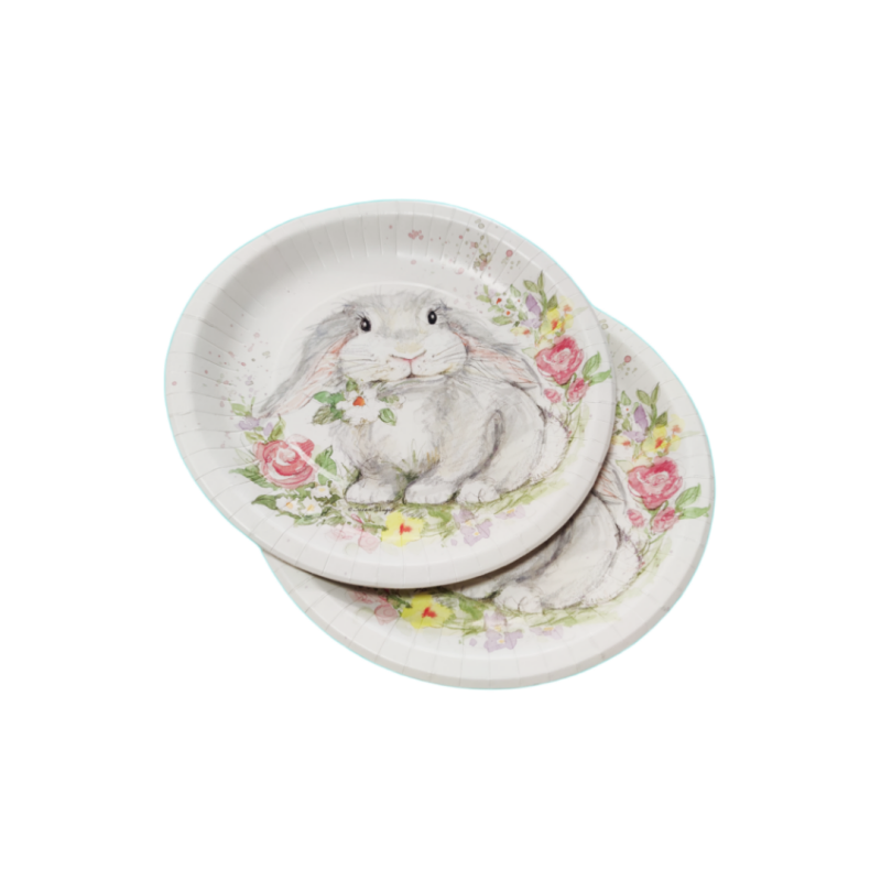 Eco-Friendly Disposable Paper Plates for Events