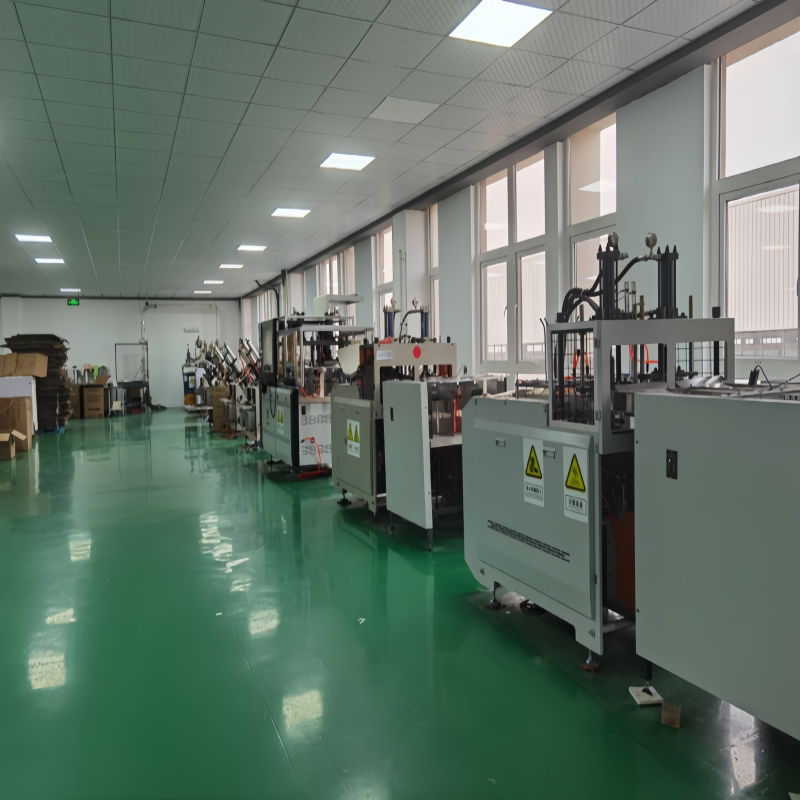 Large-scale eco-friendly disposable tableware production line, OEM ODM manufacturing facility for retail and foodservice